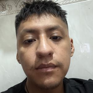 hector