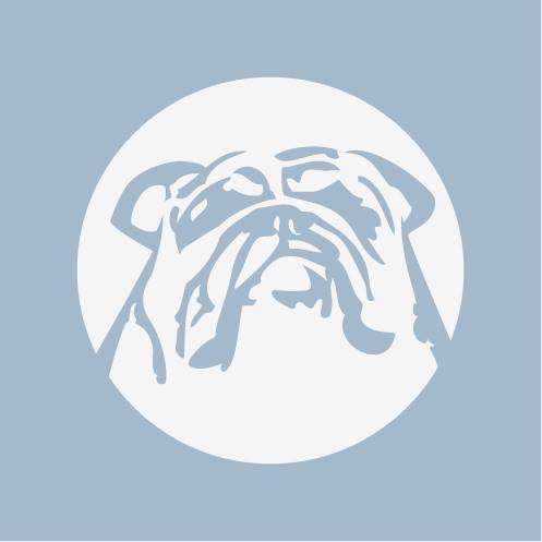 job-single