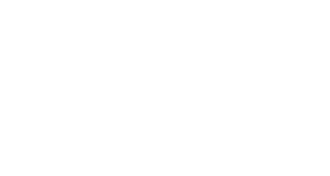job-single