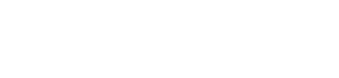 job-single