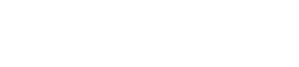 job-single