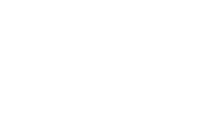 job-single